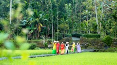 Tìm giải pháp cho du lịch xanh phát triển đột phá