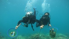 Tăng cường bảo vệ khu bảo tồn biển Hòn Mun