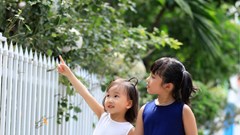 Thời trang từ vải gỗ sồi và tơ đũi lọt top được yêu thích