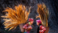 Cuộc thi ảnh, video “Việt Nam hạnh phúc - Happy Vietnam năm 2023”