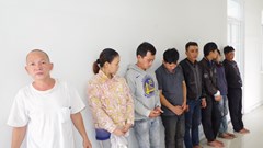 Triệt phá nhóm đối tượng trộm chó, mèo