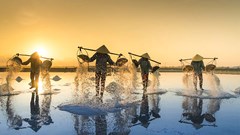 Hướng đi mới cho tiêu thụ và gia tăng giá trị sản phẩm OCOP