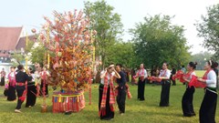 Mãn nhãn với Ngày hội trình diễn cây Nêu