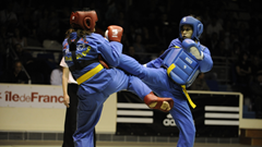 35 quốc gia và vùng lãnh thổ dự Giải vô địch Vovinam thế giới lần VII