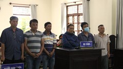 Nhận hối lộ cựu Giám đốc Trung tâm đăng kiểm 85 – 02D ở Ninh Thuận lĩnh án 4 năm 6 tháng tù