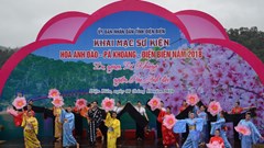 Lễ hội hoa anh đào Điện Biên Phủ sẽ diễn ra vào 1.2024