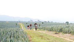 80 VĐV tham dự Giải đua mô tô địa hình Lai Châu