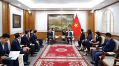 Xây dựng Làng Việt Nam “K-Vietnam valley” tại Hàn Quốc: Cơ sở cốt lõi cho mối quan hệ tổng thể Hàn Quốc - Việt Nam