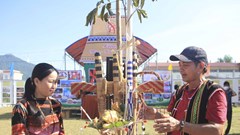 Những “già cội’ của bản làng