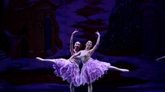 Vũ kịch “Kẹp hạt dẻ” trở lại