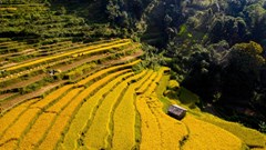 Phát triển sản phẩm OCOP du lịch ở vùng Non nước Cao Bằng