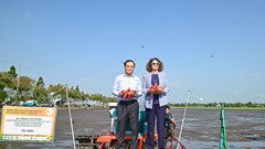 Triển khai một triệu ha chuyên canh lúa chất lượng cao