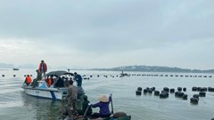 Cưỡng chế các công trình nuôi trồng thủy sản trái phép trên vịnh Hạ Long