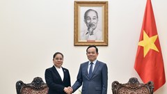 Triển khai các biện pháp thúc đẩy hợp tác văn hoá, du lịch Việt Nam và Lào