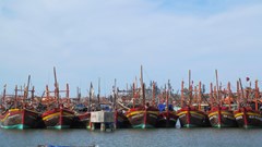 Quảng Bình hỗ trợ cước thuê bao dịch vụ giám sát hành trình cho tàu cá xa bờ