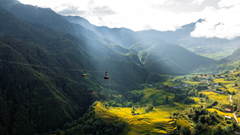 Khi những cái tên mới đã thành biểu tượng