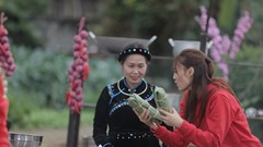 Phát triển gameshow truyền hình về ẩm thực: Quảng bá văn hóa ẩm thực Việt