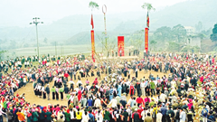 Nhiều mục tiêu về đích sớm