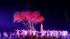 Khai mạc Festival Ninh Bình - Tràng An năm 2023