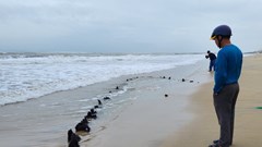 Phát hiện một phần xác tàu nghi là tàu cổ ở ven biển Hội An: Có thể ghe chở hàng cuối thế kỷ XIX đầu thế kỷ XX