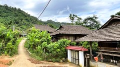 Ngăn chặn nạn “chảy máu” bằng cách kiểm kê, xếp hạng nhà sàn cổ