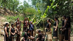 Lễ mừng nước giọt của dân tộc Ba Na ở Đăk Hà