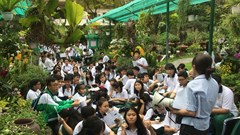 Chấn chỉnh tình hình tổ chức hoạt động giáo dục kỹ năng sống và giáo dục ngoài giờ chính khóa