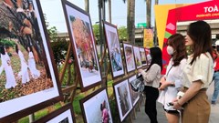 Quyết định về công bố thủ tục hành chính được sửa đổi, bổ sung trong lĩnh vực nhiếp ảnh