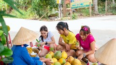 Về Đại Bình, thưởng thức trái cây miệt vườn xứ Quảng