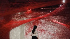 Gen Z “kháo nhau” về triển lãm nghệ thuật tương tác đa phương tiện Stream of Hanoi