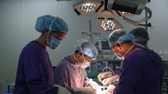 Hai ngày liên tiếp cứu sống tám người bệnh từ hai bệnh nhân chết não