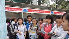 Sinh viên làm thêm dịp Tết được doanh nghiệp trả lương cao gấp đôi, gấp ba