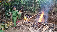 Quảng Ngãi: Truy quét, ngặn chặn khai thác vàng trái phép