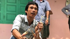 Bảo tồn cua đá, sản vật nơi xứ đảo