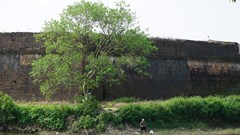 Triển khai dự án tu bổ, tôn tạo kè Hộ Thành hào ở mặt Đông Kinh thành Huế: Tránh lặp lại vết xe đổ