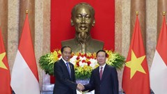 Nhất trí sớm đưa quan hệ Đối tác chiến lược Việt Nam - Indonesia lên tầm cao mới