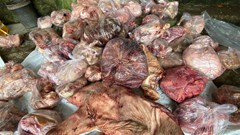 Thừa Thiên Huế: Thu giữ hơn 3 tấn thực phẩm không rõ nguồn gốc xuất xứ