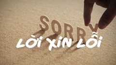 “Văn hóa xin lỗi”