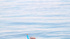 Du lịch và chính trị