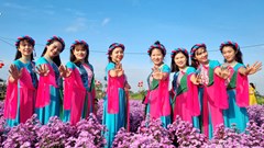 Cánh đồng hoa Nghĩa Hà mở cửa đón khách