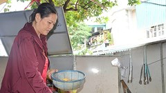 Bánh thuẫn ngày Tết