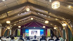 Quảng Nam: Tiếp cận du lịch xanh, bền vững