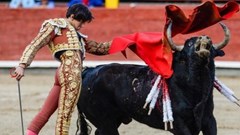 Phục vị một truyền thống văn hóa