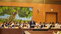 Rà soát kỹ những vướng mắc để kiến nghị các giải pháp khả thi