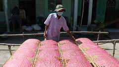 Cù Lao Mây nhộn nhịp mùa bánh tráng Tết