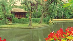 Cơ hội để các nghệ sĩ thể hiện tài năng và lòng kính yêu với Người