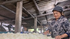 Đường phèn, đặc sản nổi tiếng ở Quảng Ngãi