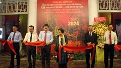 Không gian Lê Bá Đảng tại Bảo tàng Mỹ thuật TP.HCM