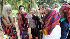 “Viên ngọc quý” của đại ngàn Trường Sơn