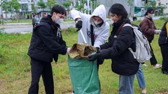 Phong trào “Ngày Chủ nhật xanh” tiếp tục lan tỏa sâu rộng trong cộng đồng